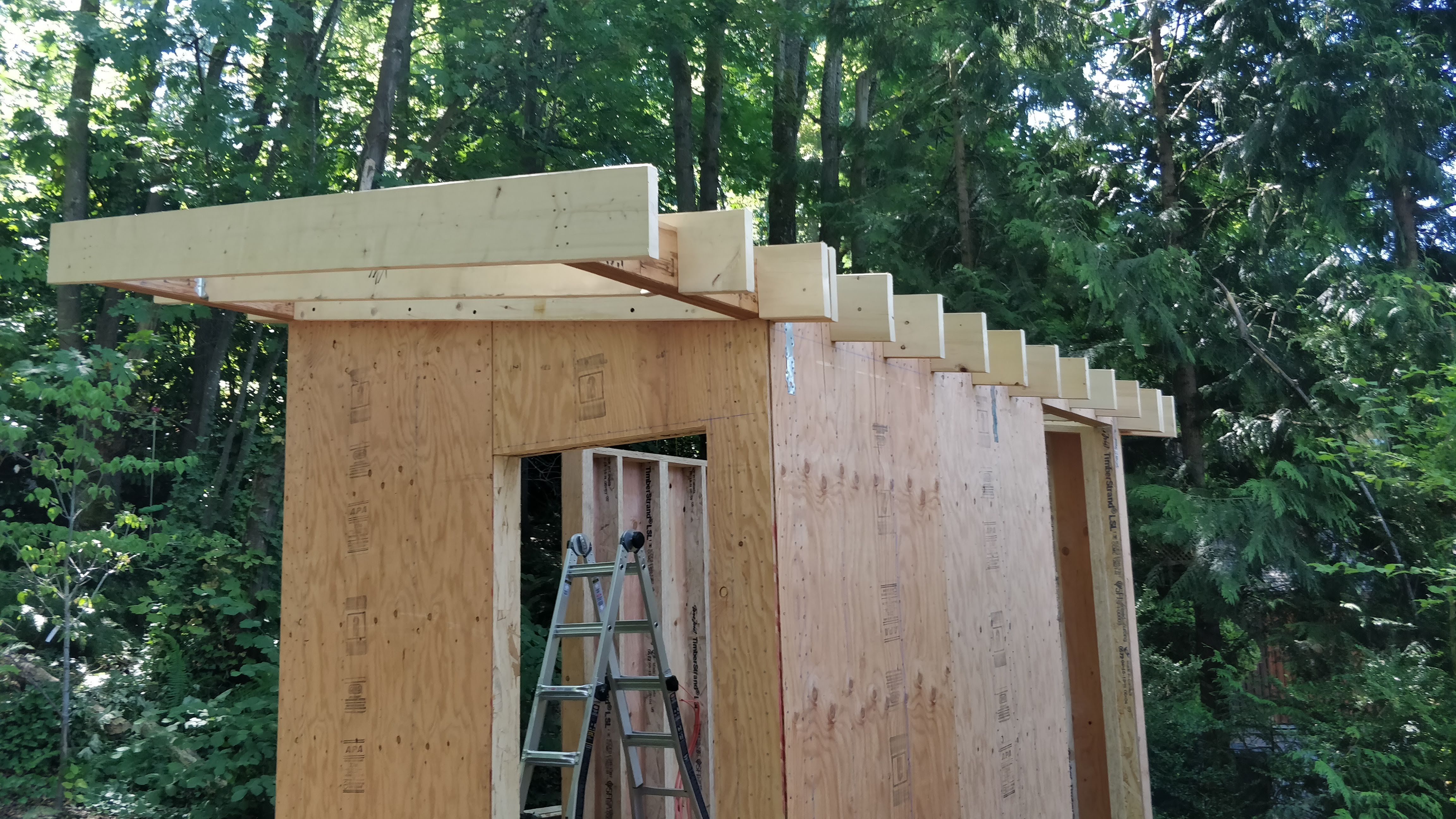Roof rafters, installed